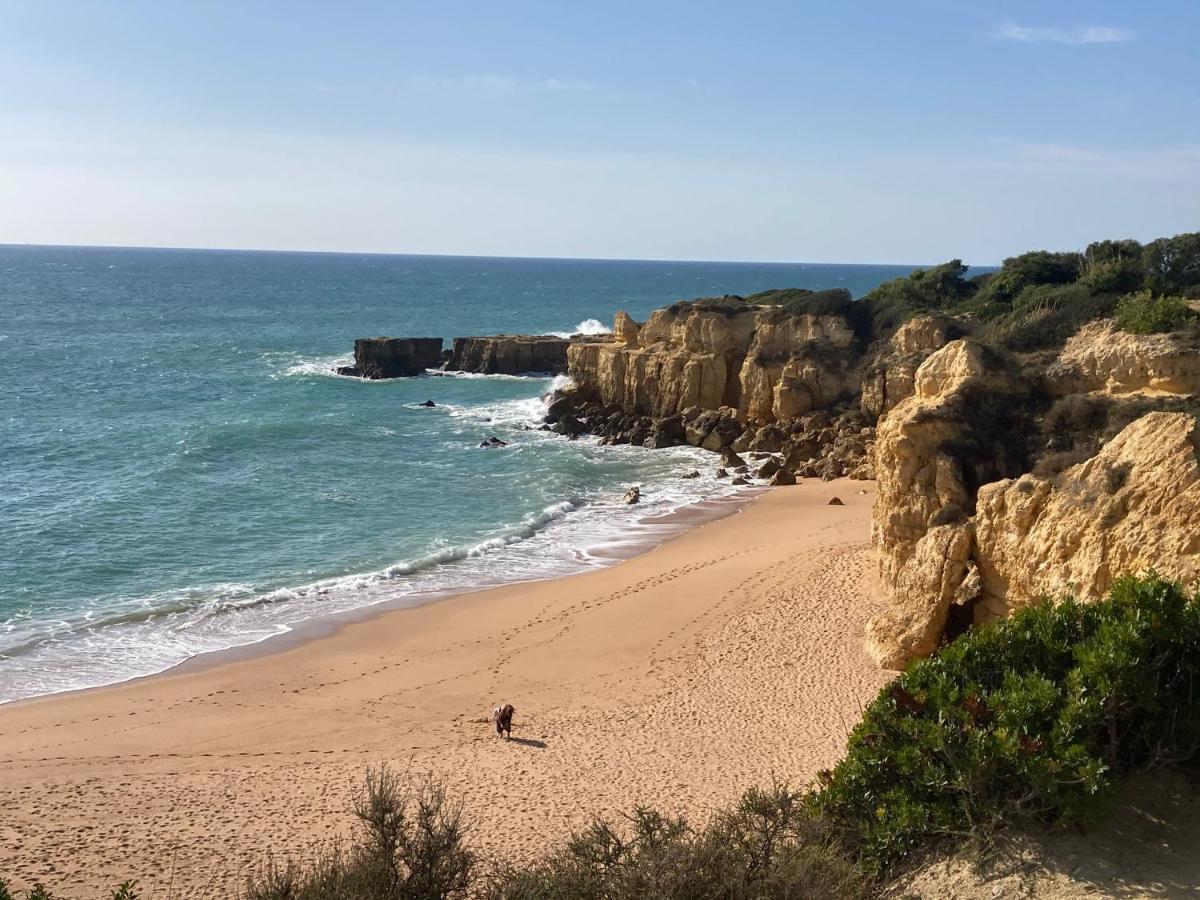 شقة Albufeira Portugal Maria Appt المظهر الخارجي الصورة